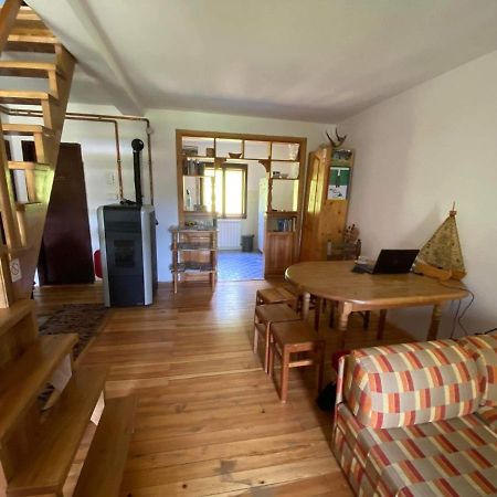Mystic Forest Hostel Mitrovac Bagian luar foto