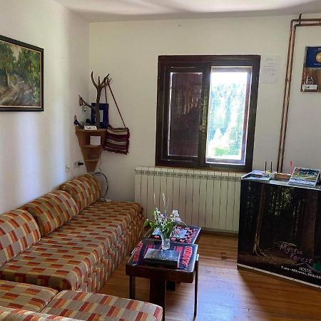 Mystic Forest Hostel Mitrovac Bagian luar foto