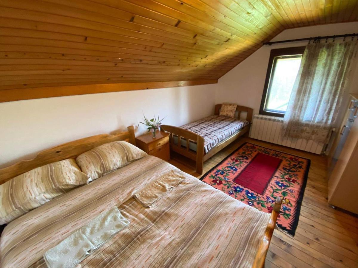 Mystic Forest Hostel Mitrovac Bagian luar foto