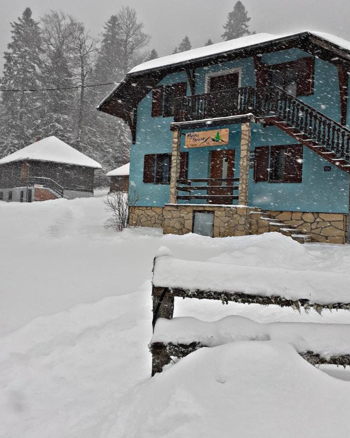 Mystic Forest Hostel Mitrovac Bagian luar foto